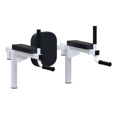 Брусья + пресс ARMS L120 | Premium Fitness