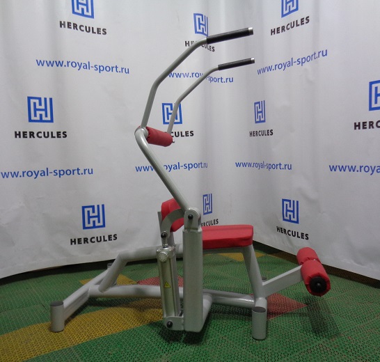 Гидравлический тренажер Пресс машина - разгибание спины  А-175g | Premium Fitness