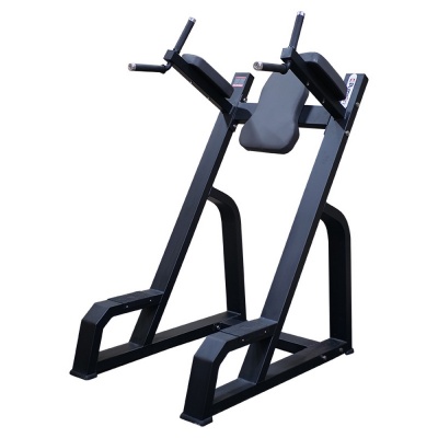 Брусья Pumpset 1647 | Premium Fitness