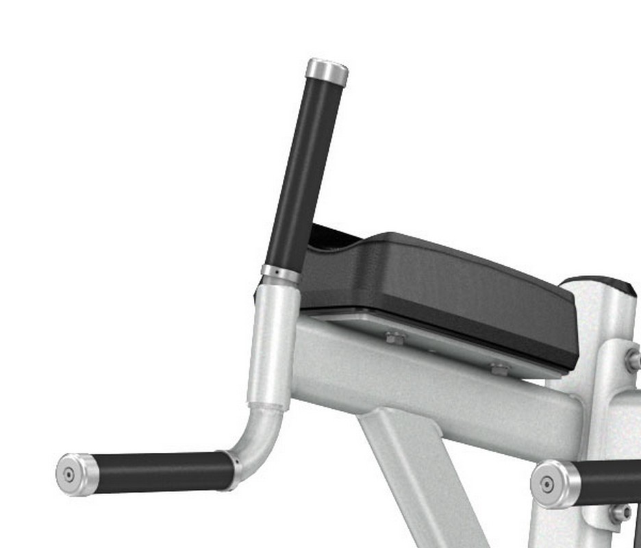 Подъем коленей\брусья Precor DBR702 | Premium Fitness