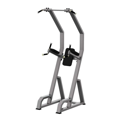 Брусья пресс турник DHZ A3049 | Premium Fitness