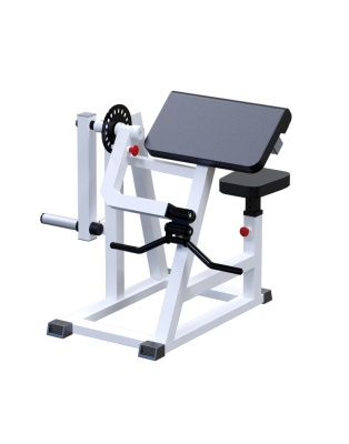 Маятниковый бицепс-трицепс ARMS AR019.3 | Premium Fitness