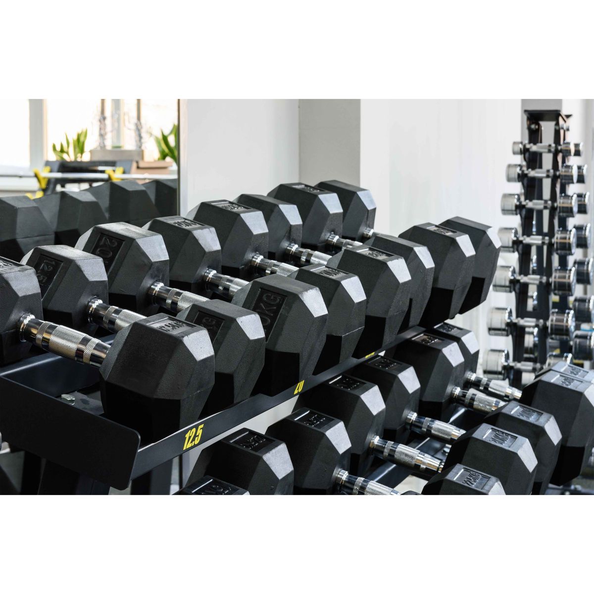 Гантель гексагональная обрезиненная Profi-Fit 25 кг