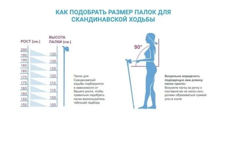 Палки для ходьбы треккинговые раздвижные с удлиненной ручкой 105-135 см Techteam TT HIMALAYAS NN001649 Blue