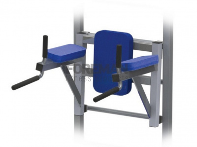 Брусья\Пресс навесные Foreman FY-279 | Premium Fitness