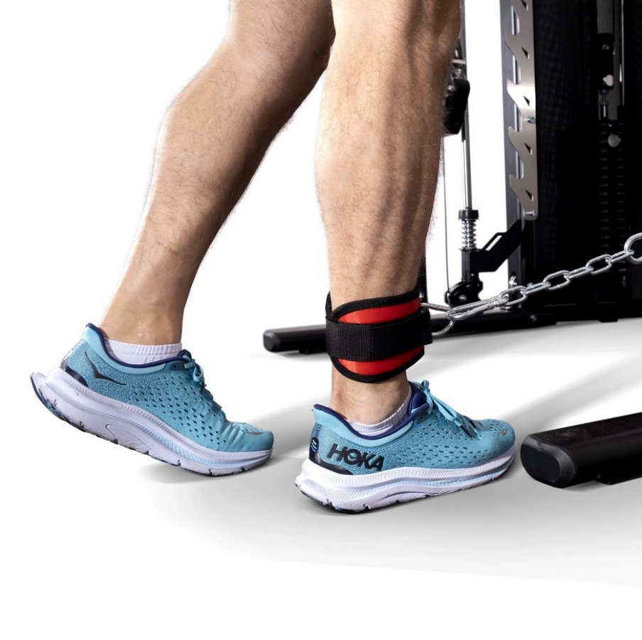 Многофункциональный силовой комплекс Protrain GTS-ULTRA | Premium Fitness