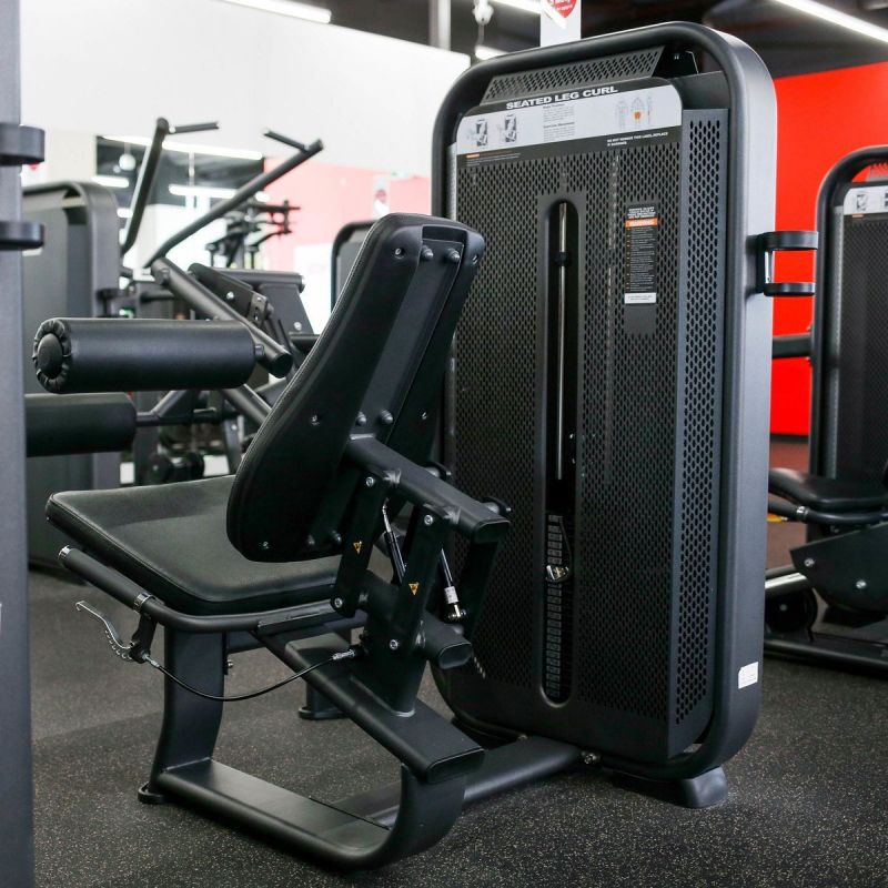 DHZ E7023 Сгибание ног сидя | Premium Fitness
