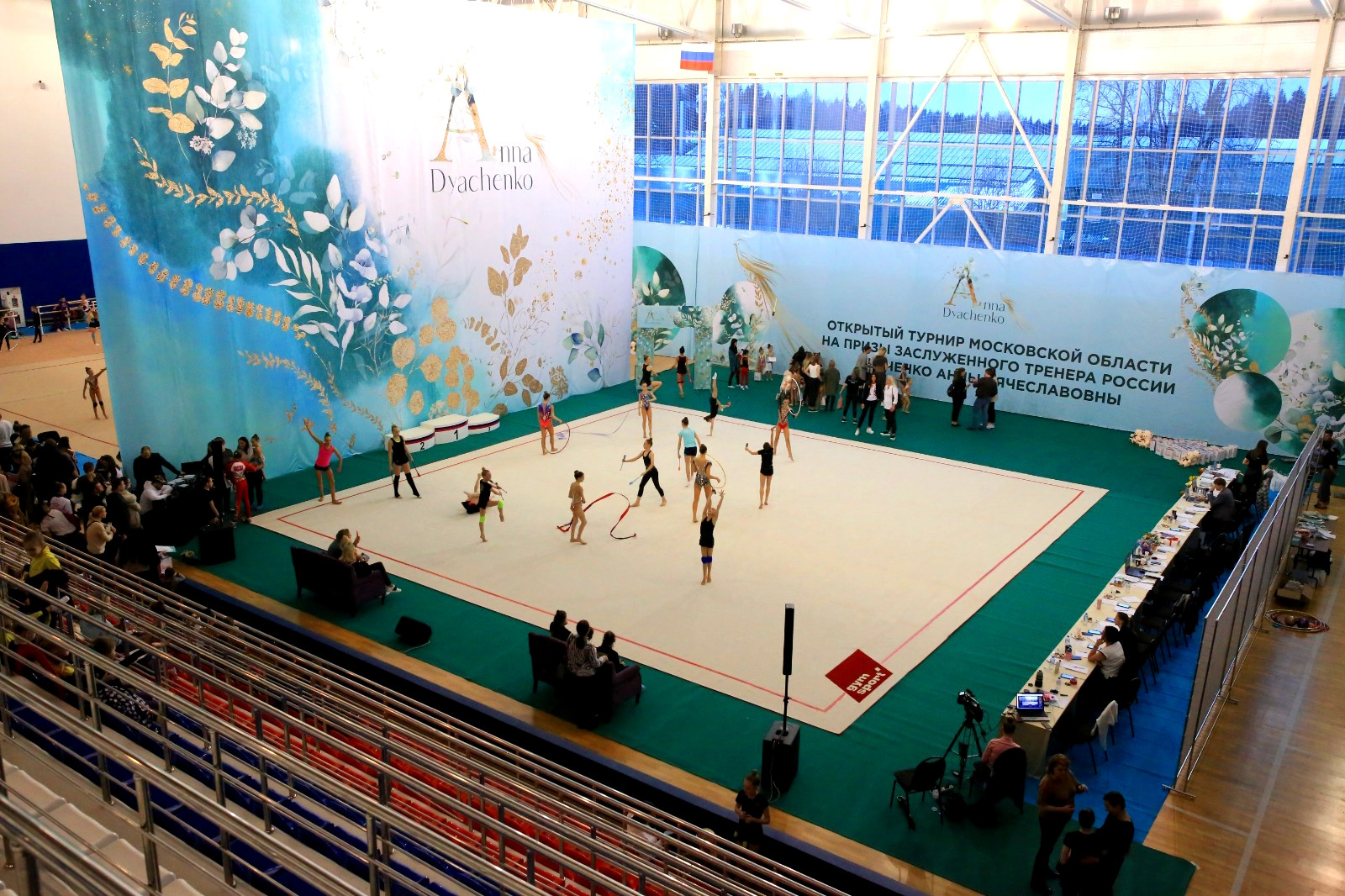 Ковер гимнастический GymSport PROF PREMIUM 4х11м