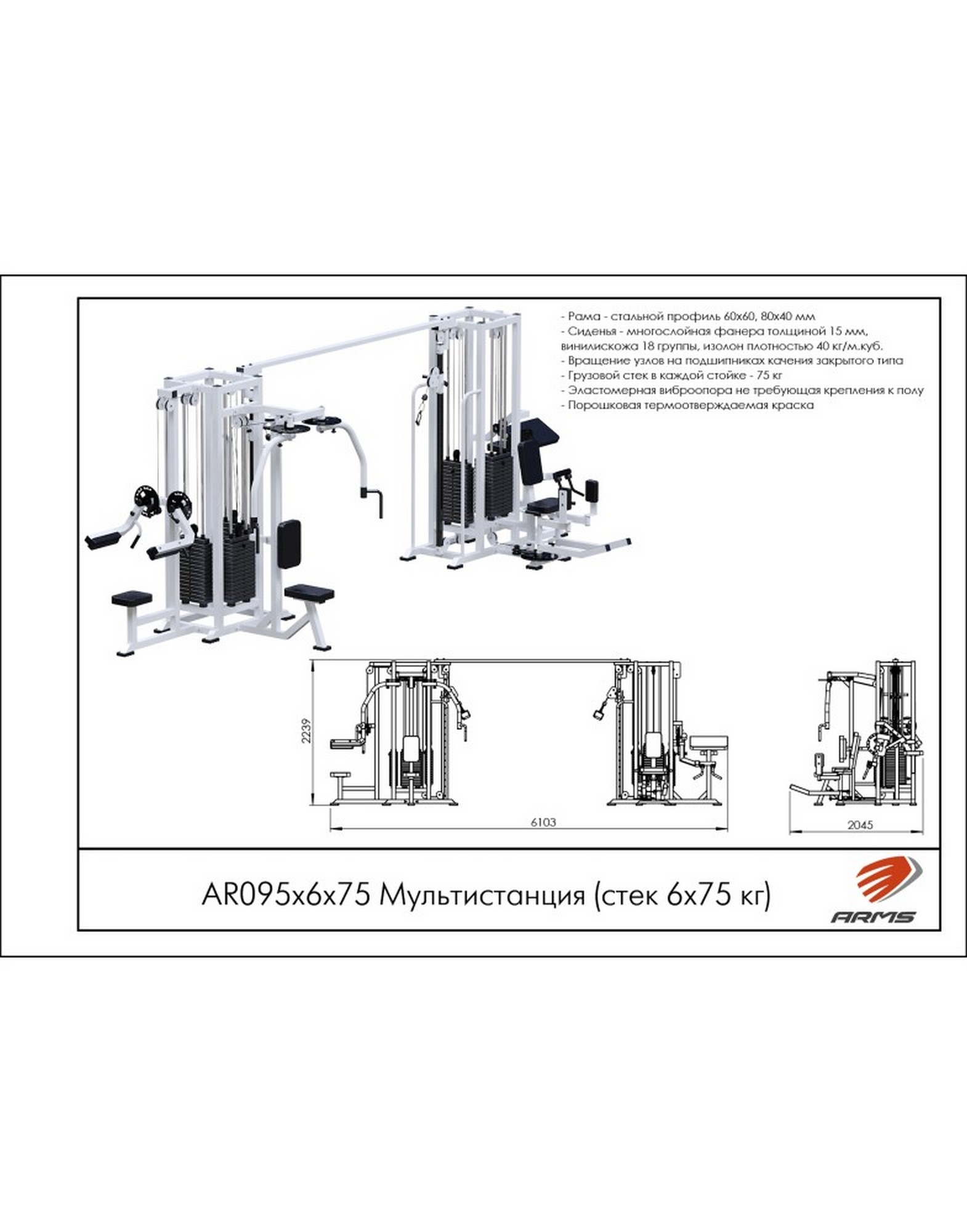 Мультистанция ARMS (стек 6х75 кг) AR095х6х75 | Premium Fitness