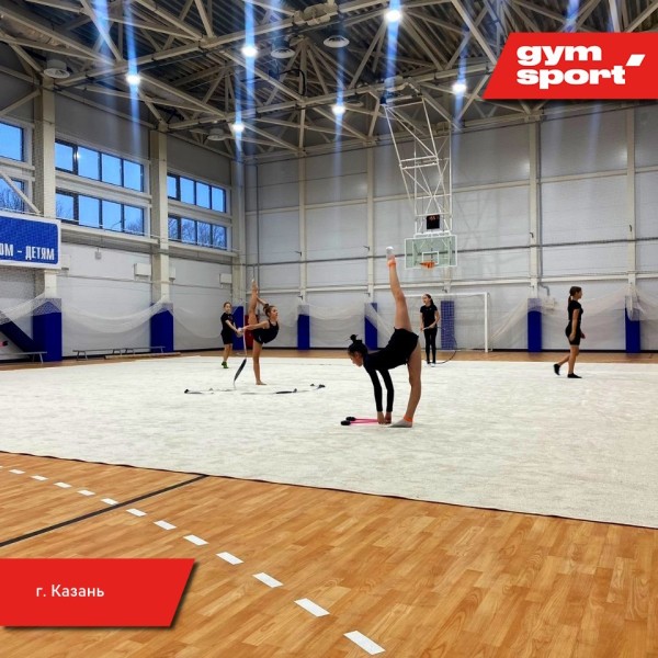 Ковер для художественной гимнастики GymSport PROF NEW 14Х14