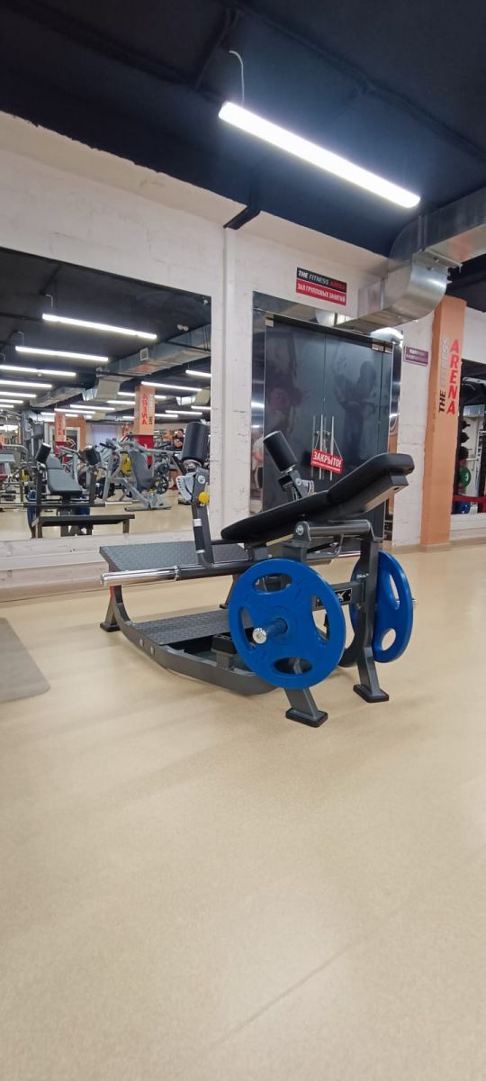 Ягодичный мостик FTX-82032 Fitex Pro | Premium Fitness