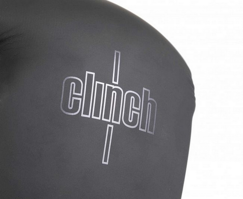 Перчатки боксерские Clinch Mist 2.0 C183 черный