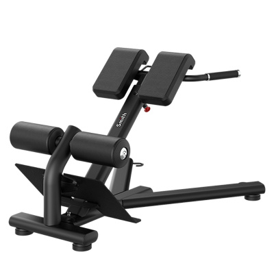 Гиперэкстензия Smith Fitness RE6010 для разгибания спины | Premium Fitness