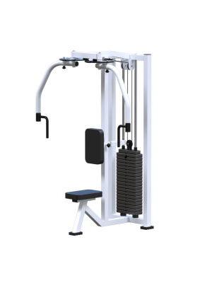 Баттерфляй задние дельты ARMS AR045 (стек 100 кг) | Premium Fitness