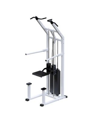 Турник-брусья ARMS с противовесом, стек 100 кг, AR049.1 | Premium Fitness