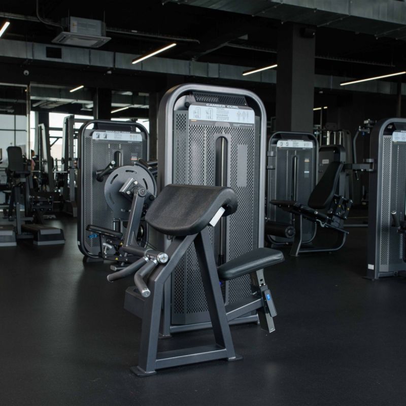 Бицепс-машина сидя DHZ U3030D (E5030) | Premium Fitness