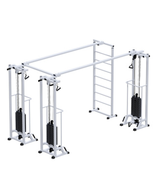 Кроссовер ARMS Биотонус-3 со стеком 3х75 кг и шведской стенкой AR087.3х2200 | Premium Fitness