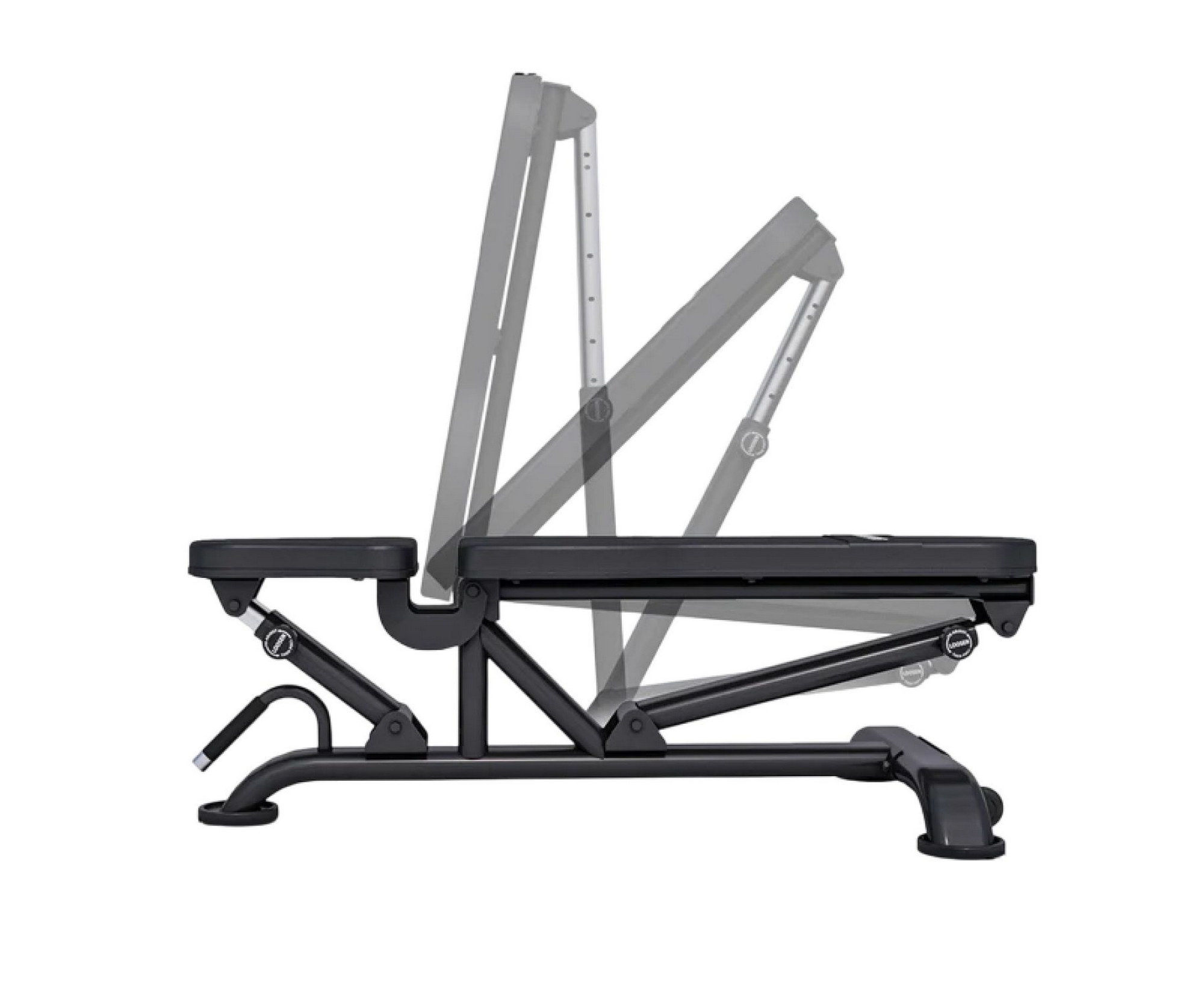 Скамья силовая для жима DFC MX-600362-00019-0001 | Premium Fitness