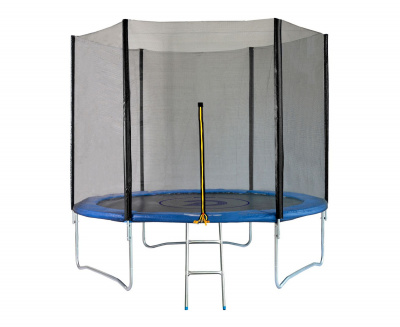 Батут с сеткой DFC PELPO 8ft с лестницей GBT-8B Blue