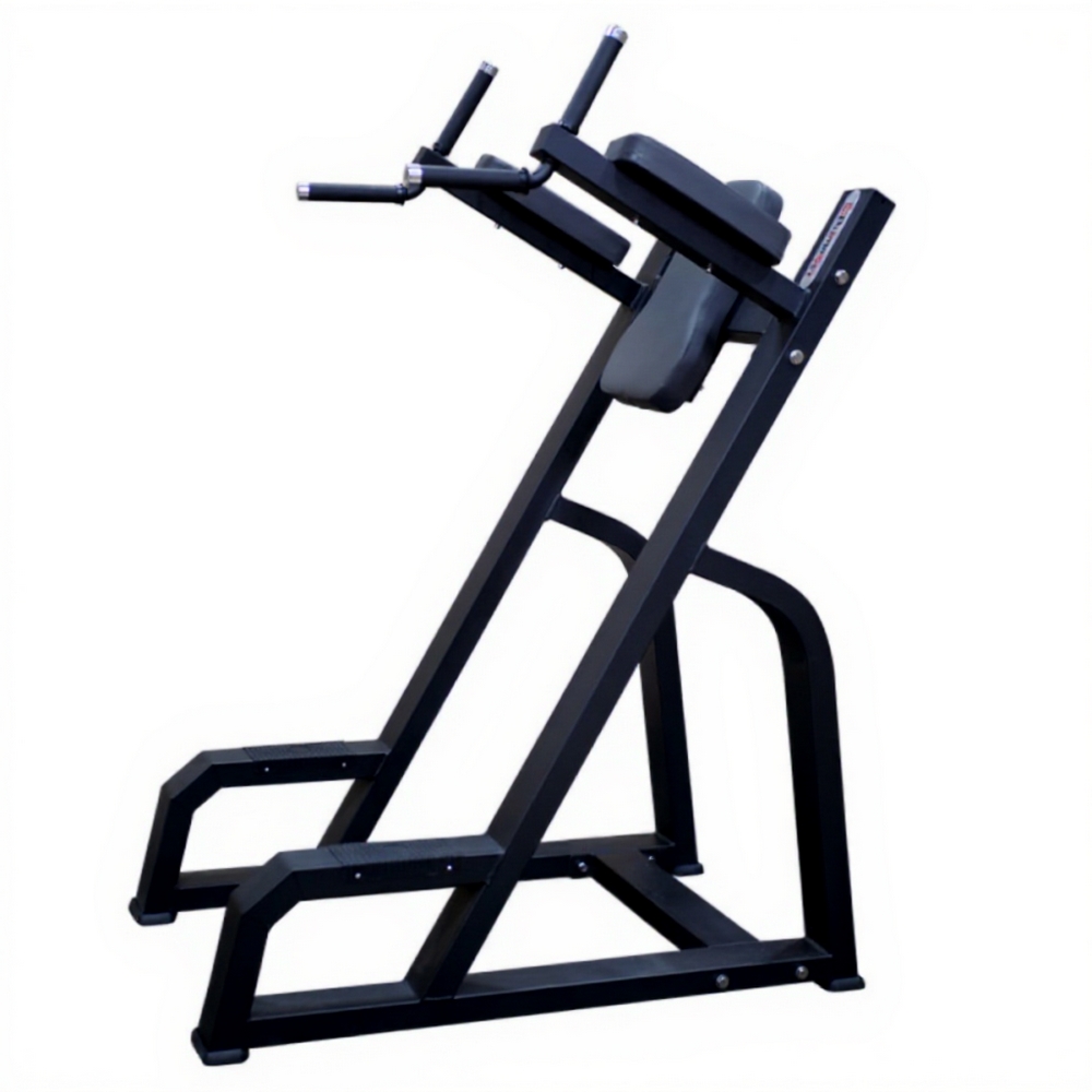 Брусья Pumpset 1647 | Premium Fitness