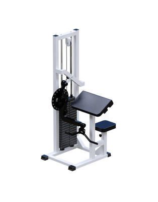 Бицепс-Трицепс AR050 ARMS (стек 75 кг) | Premium Fitness