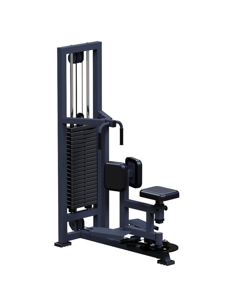 Торс-машина ARMS ARM051 | Premium Fitness