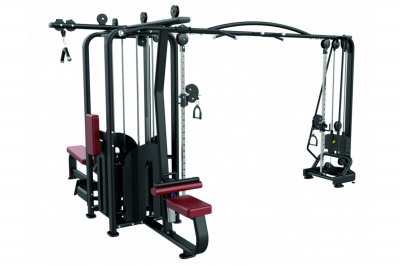 Мультистанция на 5 мест UltraGym UG-IN 836 | Premium Fitness
