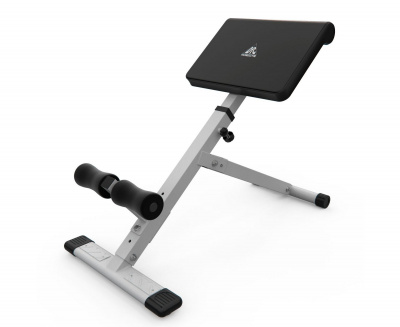 Гиперэкстензия DFC HomeGym белая SJ1006W | Premium Fitness