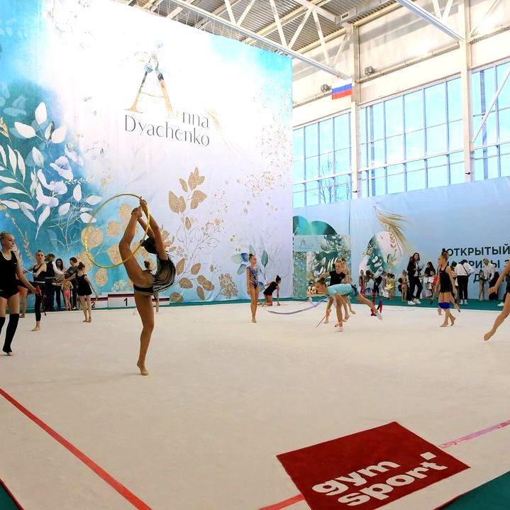 Ковер гимнастический GymSport PROF PREMIUM 4х11м