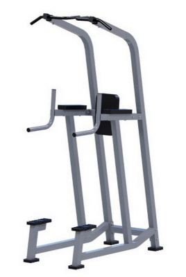 Брусья пресс турник ARMS ARMSX600 | Premium Fitness
