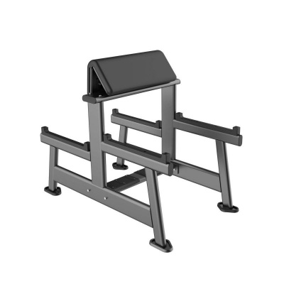 Скамья Скотта DHZ модель E7044 | Premium Fitness