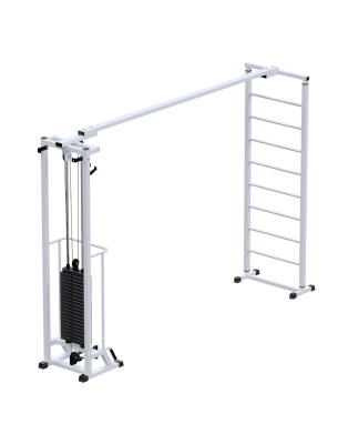 Кроссовер ARMS Биотонус 100 кг + шведская стенка AR087.1x2400 | Premium Fitness