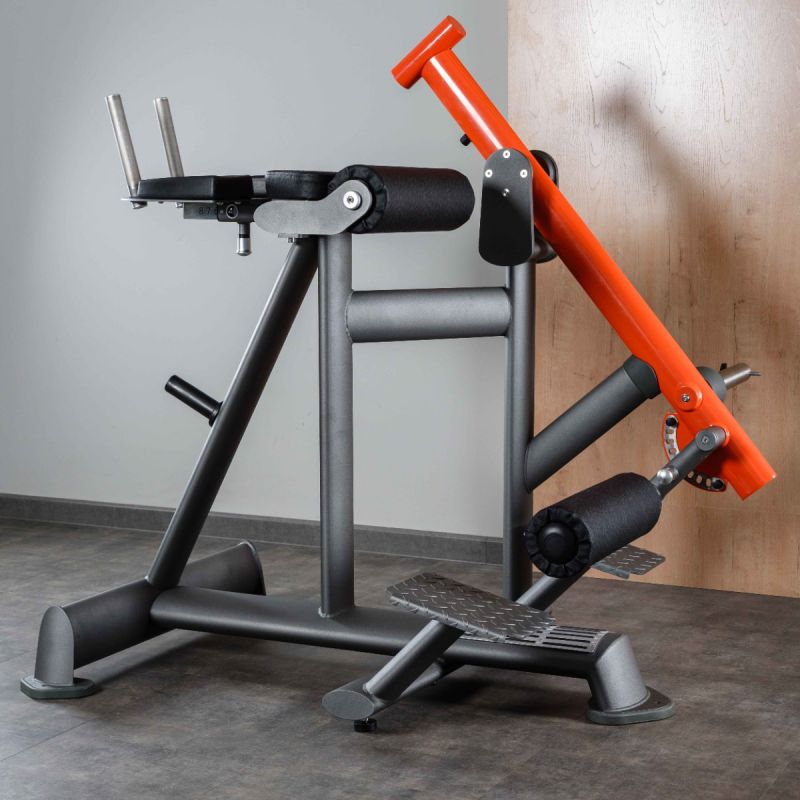 DHZ T924: Обратная гиперэкстензия | Premium Fitness