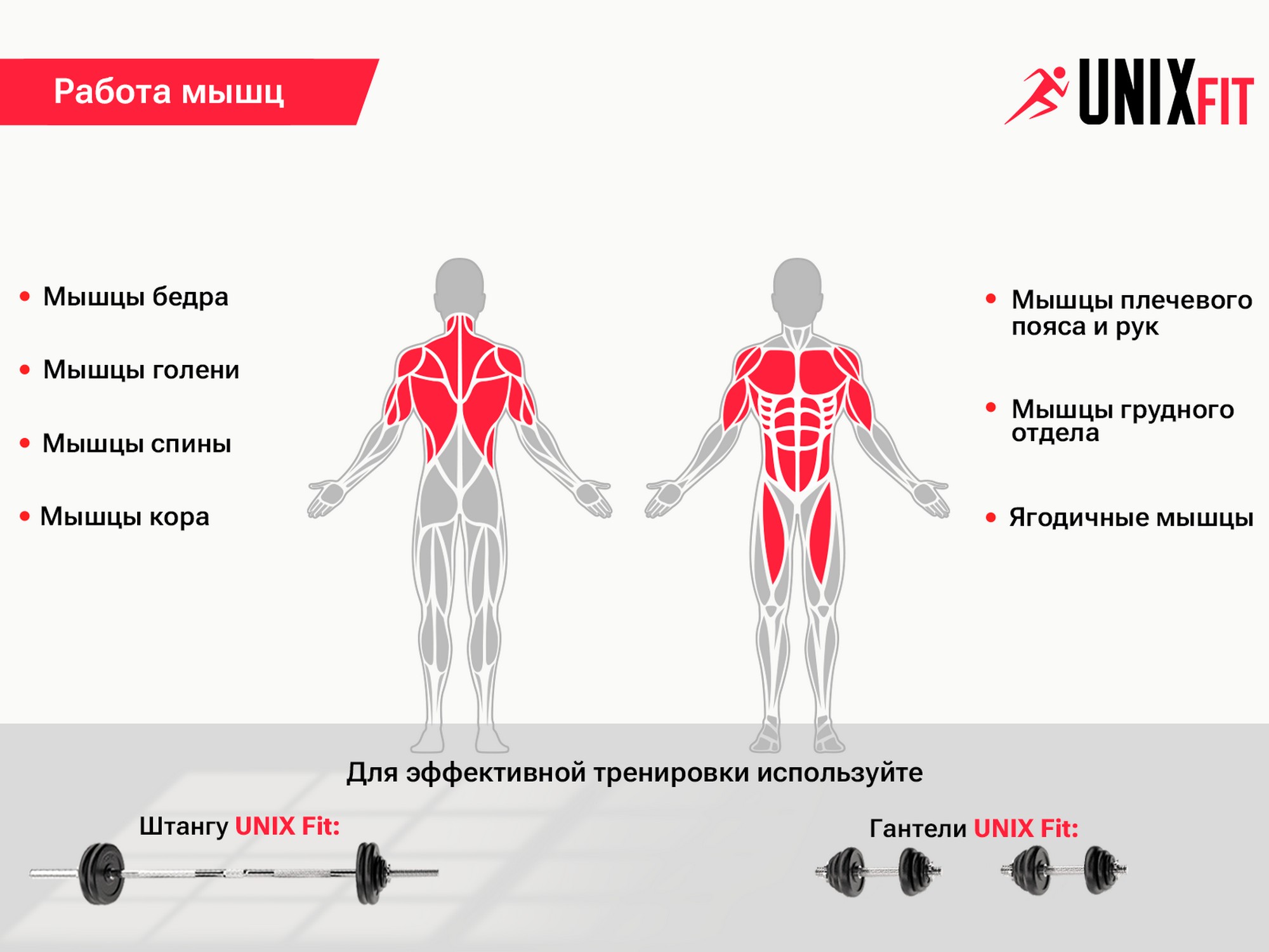 Турник-пресс-брусья со скамьей UnixFit POWER TOWER 120P BSPT120P | Premium Fitness