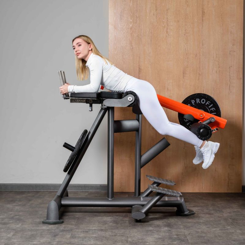 DHZ T924: Обратная гиперэкстензия | Premium Fitness