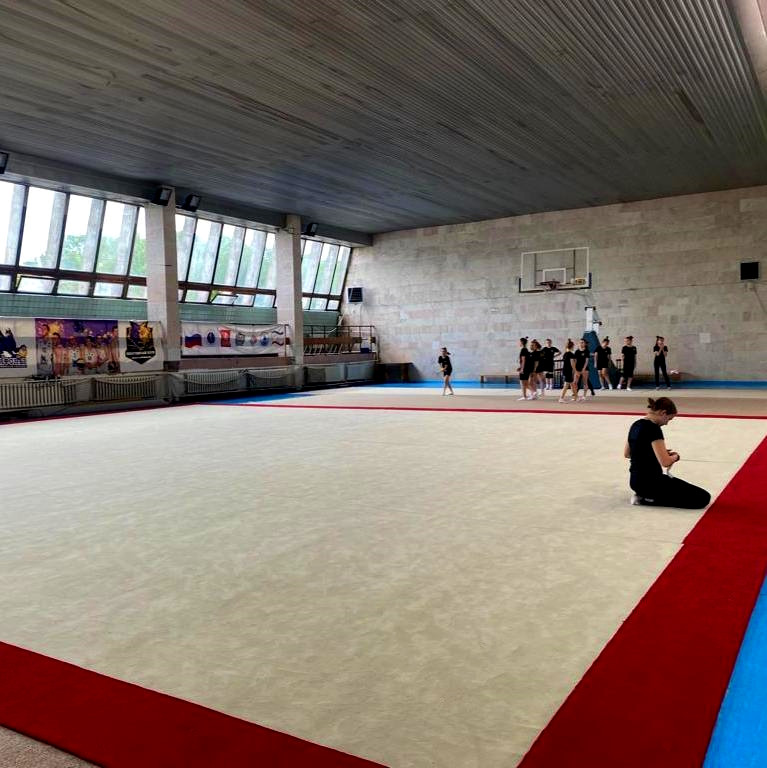 Ковер гимнастический GymSport PROF PREMIUM RED 14Х14