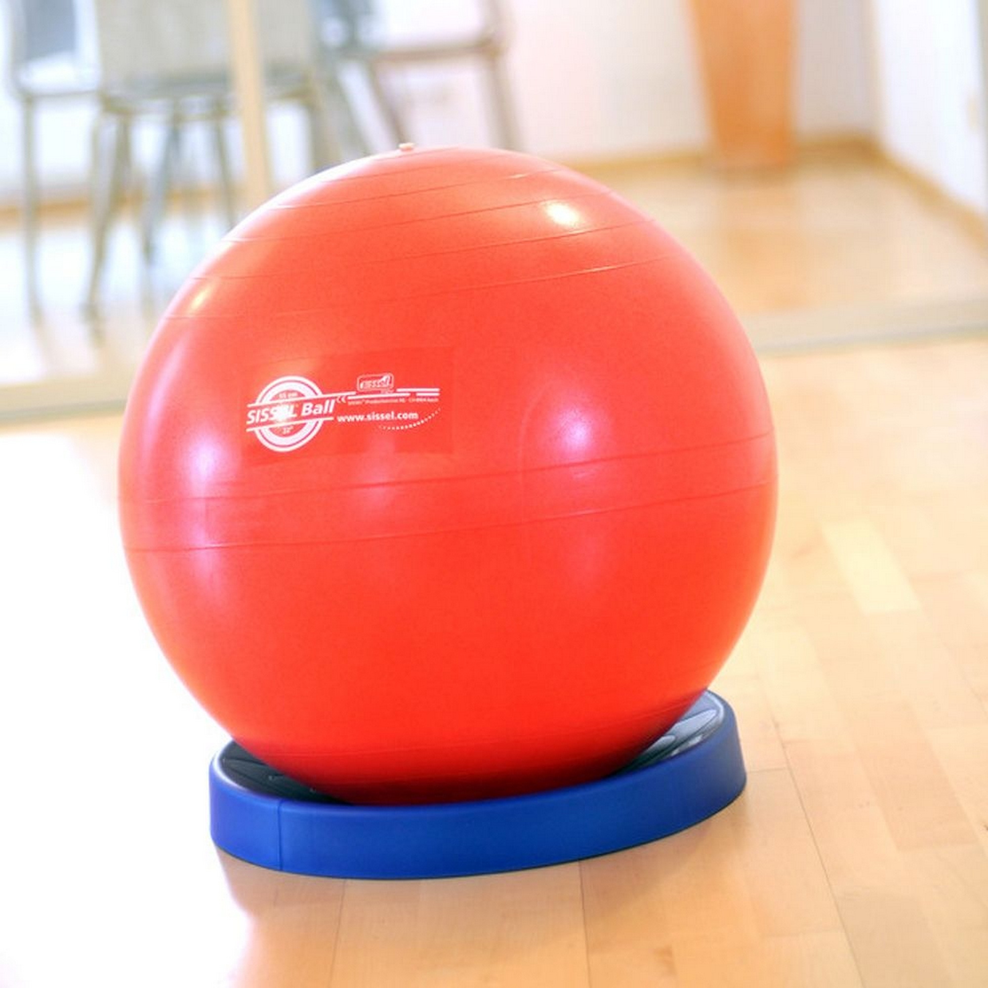 Подставка под гимнастический мяч SISSEL Exercise Ball Stabilizer 160.016 синий