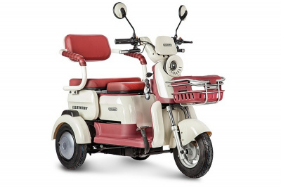 Электротрицикл 48V/60V 650Вт RuTrike Gelbert Mercury 0000265