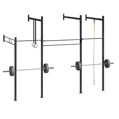 Функциональная рама пристенная  CrossFit SP CRF-W45