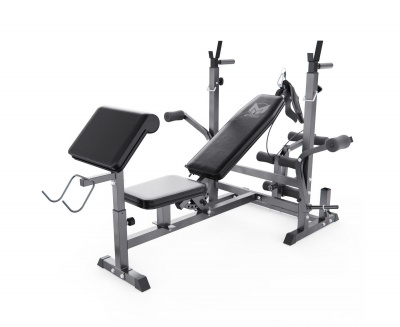 Скамья под штангу, с партой для бицепса DFC GYRONETICS GN008 | Premium Fitness