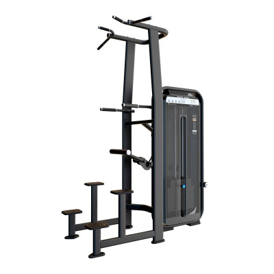 Турник и брусья с противовесом DHZ E7009 | Premium Fitness