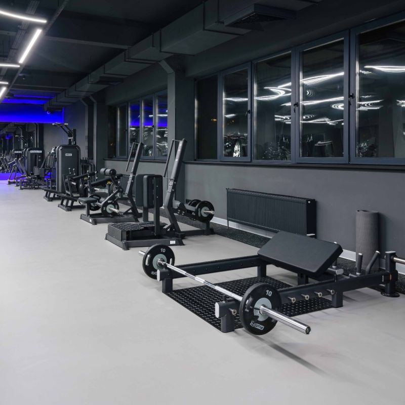 Глют-скамья DHZ A606 | Premium Fitness