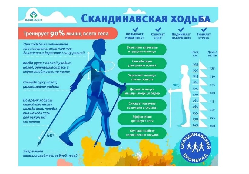 Палки для ходьбы треккинговые раздвижные с удлиненной ручкой 105-135 см Techteam TT HIMALAYAS NN001649 Blue