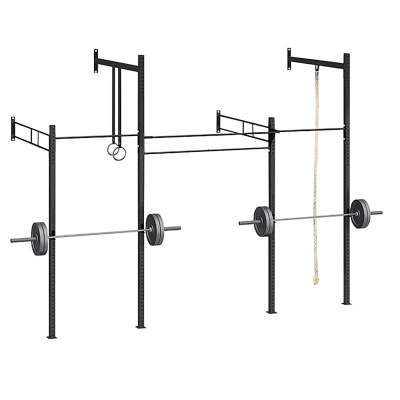 Функциональная рама пристенная  CrossFit SP CRF-W44