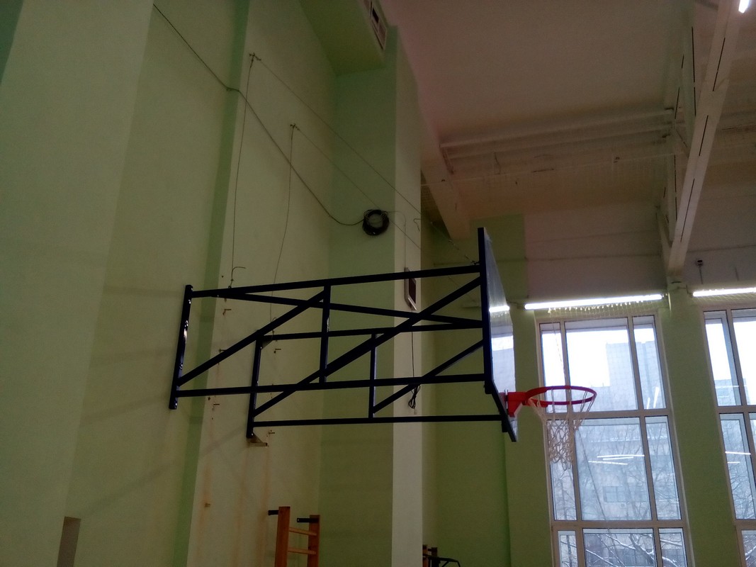 Ферма под игровой щит вынос 250см 