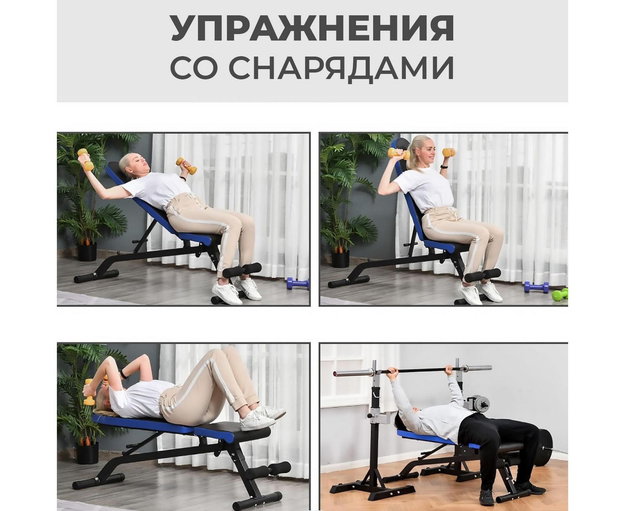 Скамья силовая универсальная DFC Pro Fitness D848 | Premium Fitness