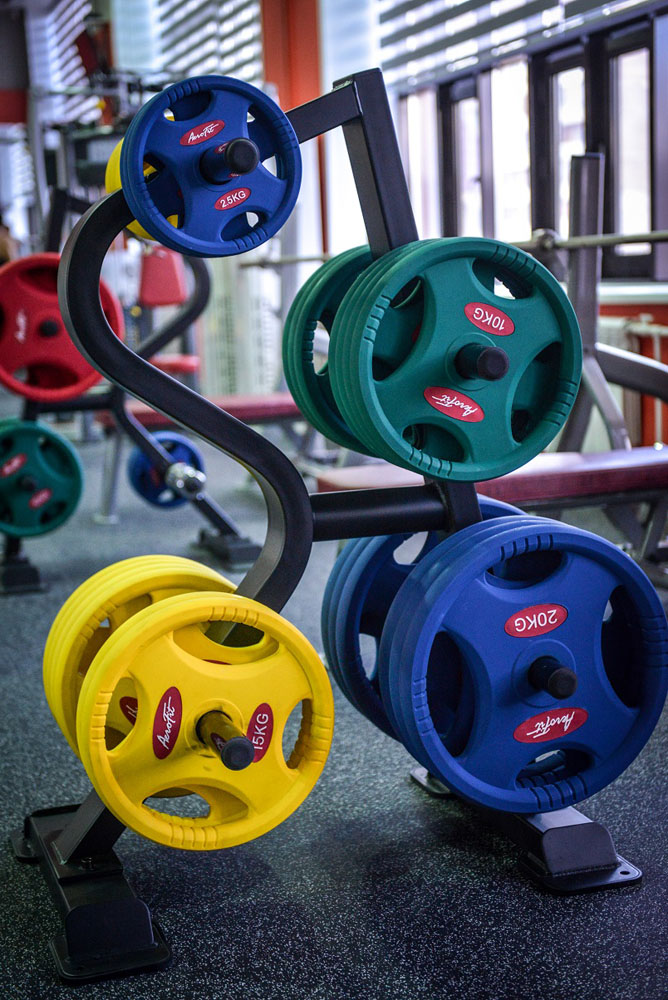 Стойка для дисков Aerofit Impulse SL7010 | Premium Fitness