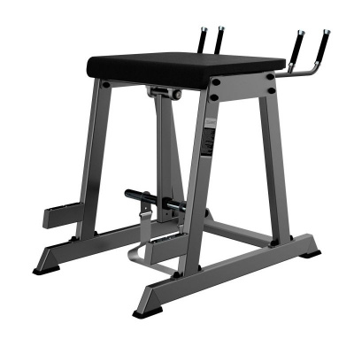 Скамья для обратной экстензии DHZ A3140 | Premium Fitness