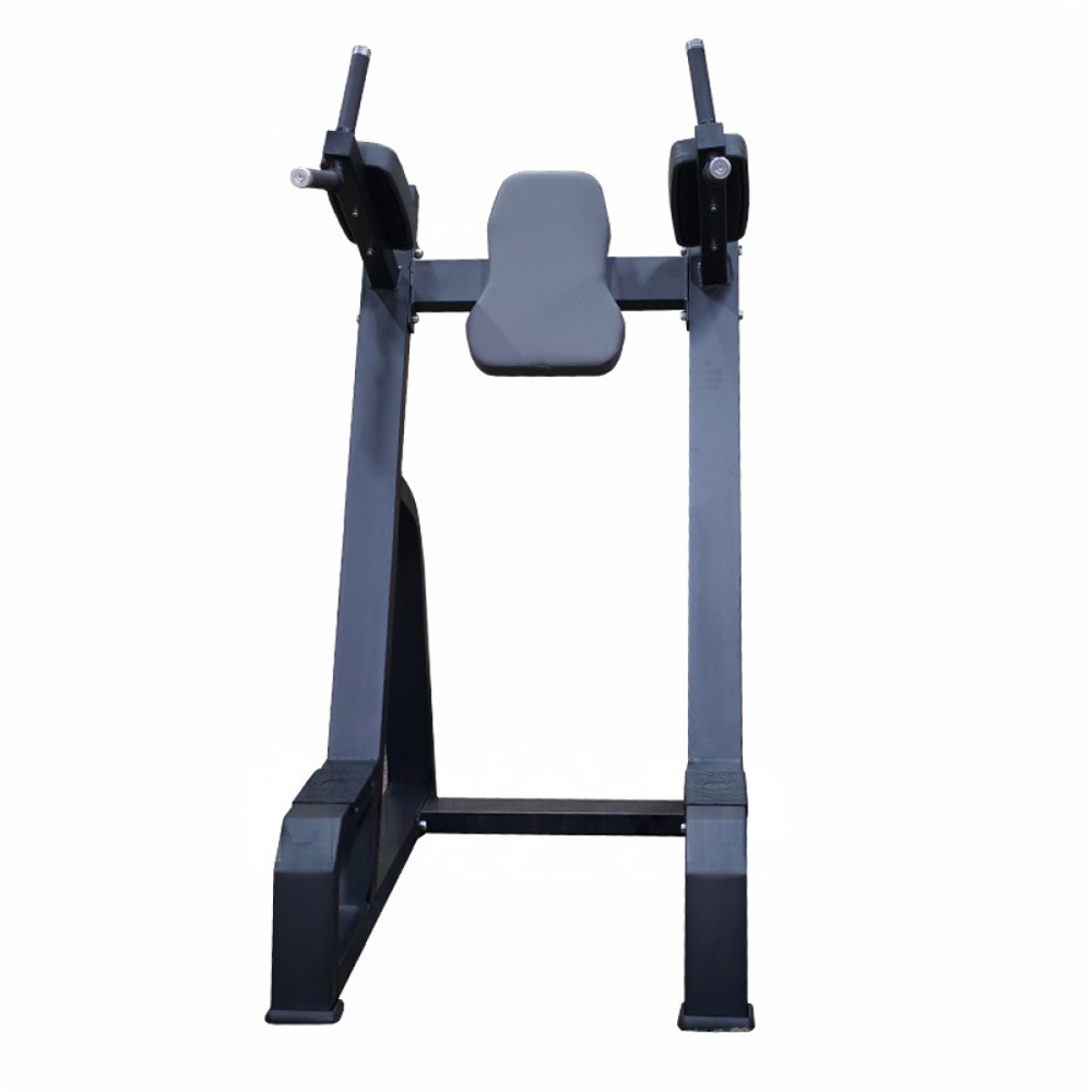 Брусья Pumpset 1647 | Premium Fitness