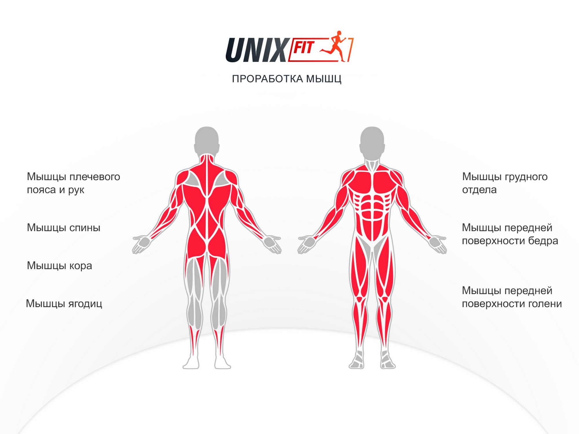 Силовой комплекс UnixFit BLOCK PRO BSBLPRO | Premium Fitness